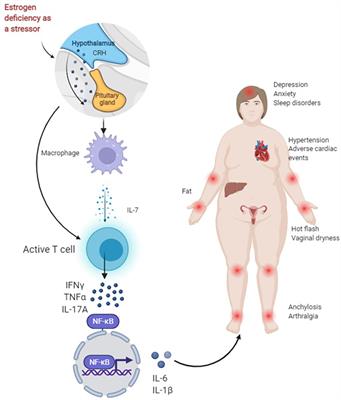 Frontiers Neuro immune endocrine mechanisms with poor adherence